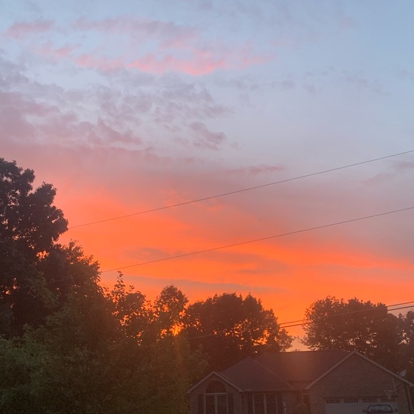 Meet your Posher, Sydney - Picture 1 of 1